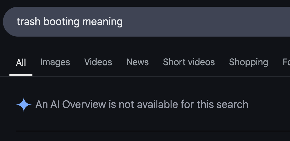 Google result for 'trash booting meaning' with the message 'An AI Overview is not available for this search.'